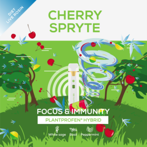 FLAVORS FOR WEB 2-11