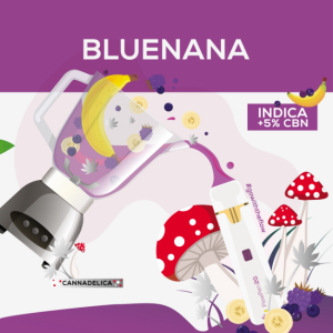 FLAVORS FOR WEB 2-14